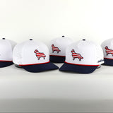 Patriotic Pup Golf Hat | Stripes